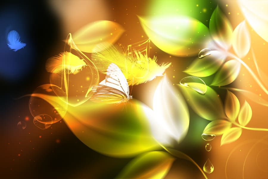 Mẫu khung ảnh tinh tế trong cách kết hợp nghệ thuật lá cây, lông chim và bướm