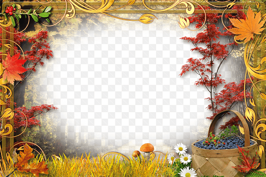 Mẫu thiết kế khung ảnh cây lá đỏ trang trí nghệ thuật đẹp mắt