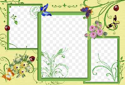 Mẫu thiết kế khung ảnh ghép 3 hình với nền hoa, lá và bướm đẹp