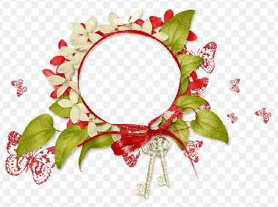 Mẫu thiết kế khung ảnh chân dung trang trí hình tròn hoa là và bướm đẹp