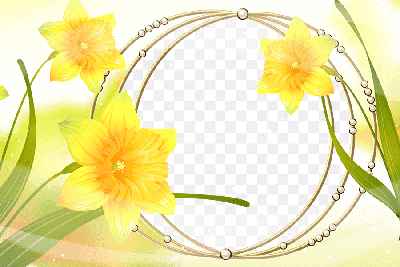 Mẫu thiết kế khung ảnh nghệ thuật hoa vàng kết hợp những chuổi vòng ngọc