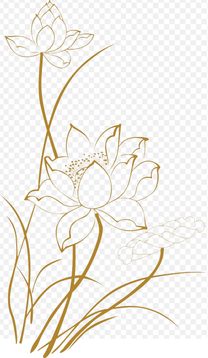 Mẫu thiết kế phác thảo hoa sen nghệ thuật