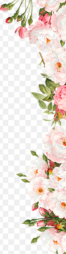 Mẫu thiết kế những bông hoa hồng bạch nghệ thuật