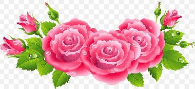 Mẫu thiết kế những bông hoa hồng được vẽ bằng kỹ thuật số tuyệt đẹp