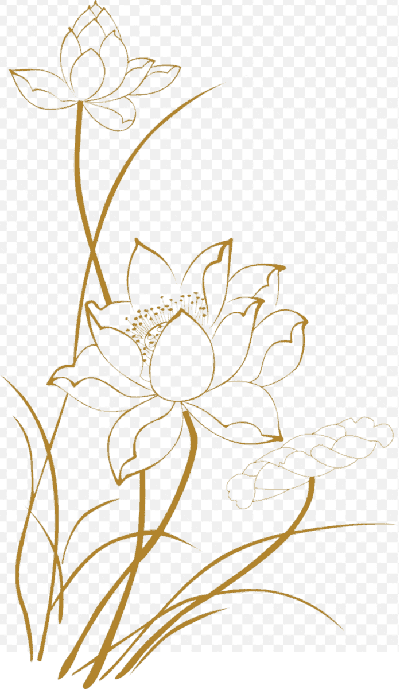 Mẫu thiết kế phác thảo hoa sen nghệ thuật