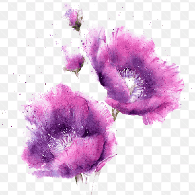 Mẫu thiết kế phác thảo những bông hoa tím nghệ thuật