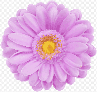 Mẫu thiết kế bông hoa tím nhạt và nhụy vàng kiệt tác của thiên nhiên