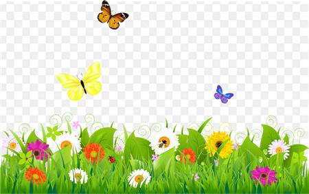 Hình nền bải cỏ và bướm hoa thiên nhiên tươi đẹp sử dụng trong thiết kế đồ họa