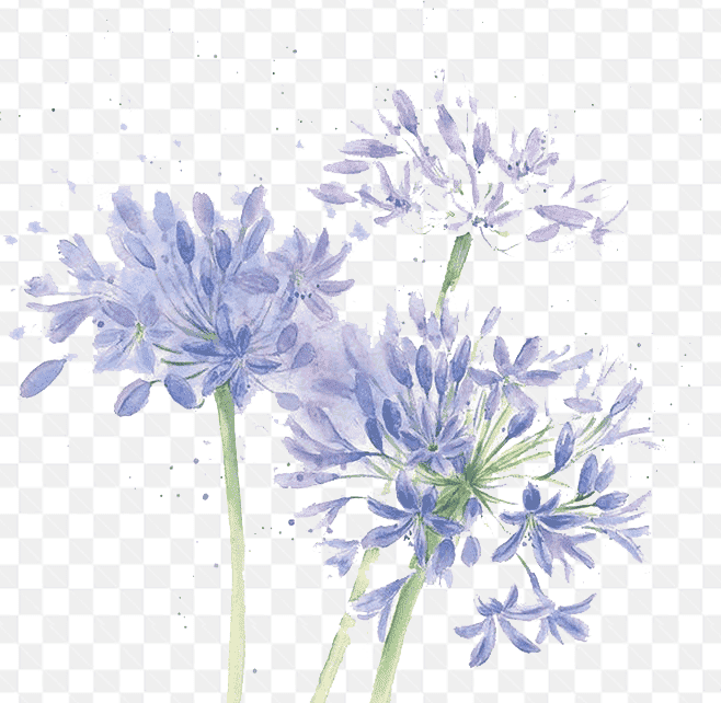 Mẫu thiết kế phác họa những cánh hoa tím đẹp