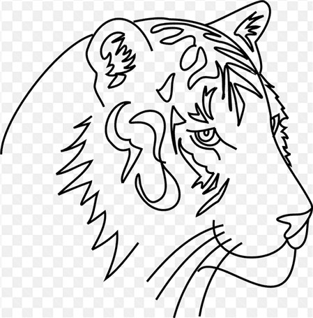 Hình ảnh vẽ phác họa cái đầu con hổ đẹp