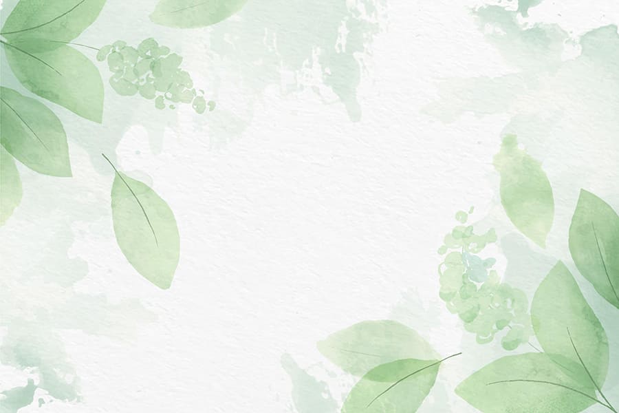 Khung ảnh nền powerpoint màu trắng kết hợp với hiệu ứng những chiếc lá