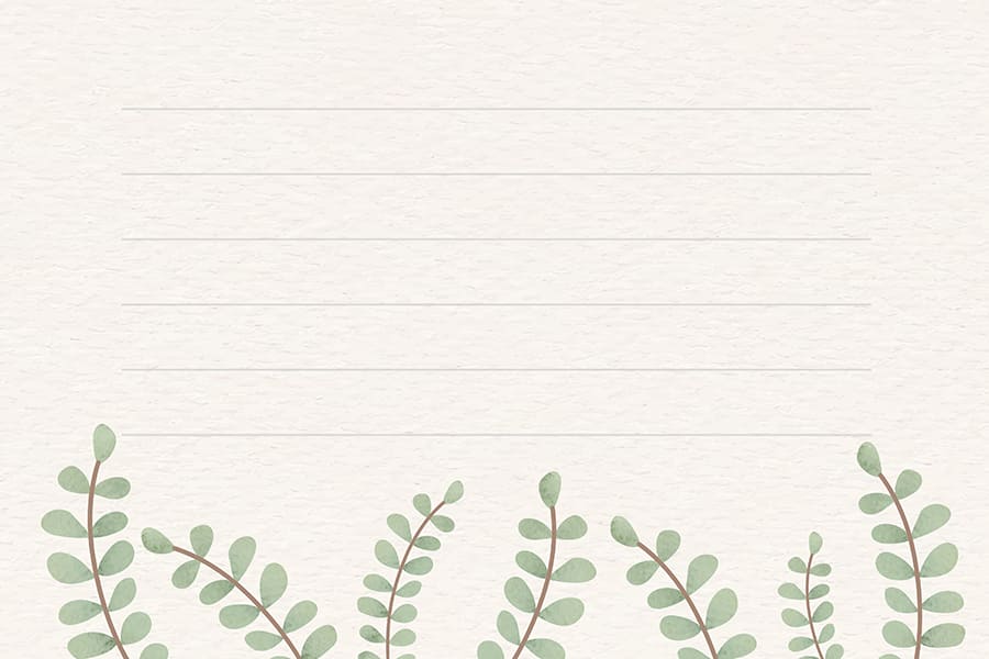 Khung ảnh nền powerpoint với những dòng kẻ và những cành lá trang trí