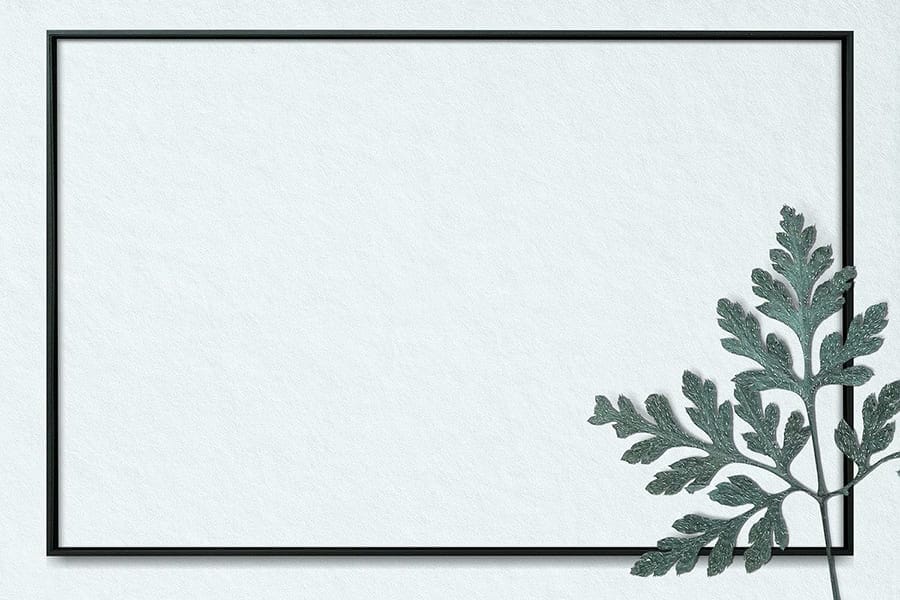 Khung ảnh nền powerpoint với đường viền nổi bật và điểm nhấn là cành lá đẹp