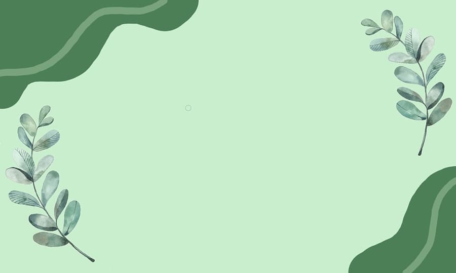 Khung ảnh nền powerpoint đẹp với sự kết hợp giữa khối màu và cành lá hài hòa