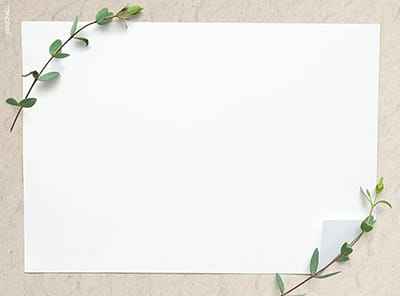 Mẫu thiết kế khung ảnh nghệ thuật với cành là thiên nhiên làm hình nền powerpoint