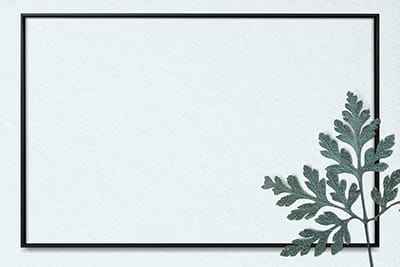 Khung ảnh nền powerpoint với đường viền nổi bật và điểm nhấn là cành lá đẹp