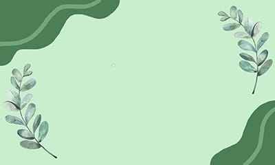 Khung ảnh nền powerpoint đẹp với sự kết hợp giữa khối màu và cành lá hài hòa