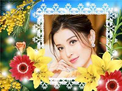 Ghép ảnh vào khung ảnh đẹp với điểm nhấn những bông hoa ly và hoa đồng tiền