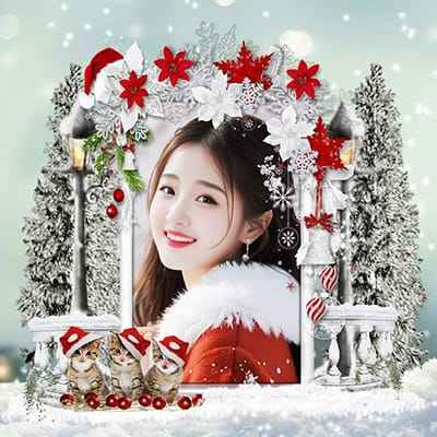 Tạo ảnh ghép với những chú mèo đội mũ giáng sinh dễ thương làm ảnh avatar