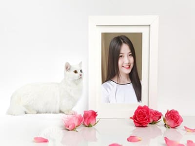 Ghép ảnh vào khung ảnh chân dung bên cạnh hình ảnh chú mèo trắng và hoa hồng tuyệt đẹp