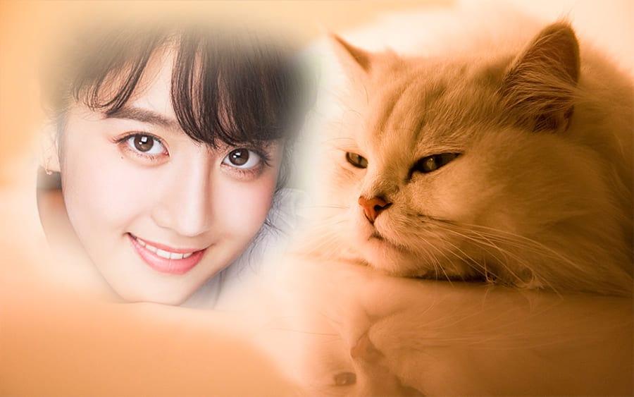 Khung ảnh nghệ thuật bên chú mèo cưng dễ thương