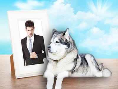 Hình ảnh nam tính bên cún cưng