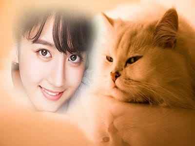 Khung ảnh nghệ thuật cùng mèo cưng