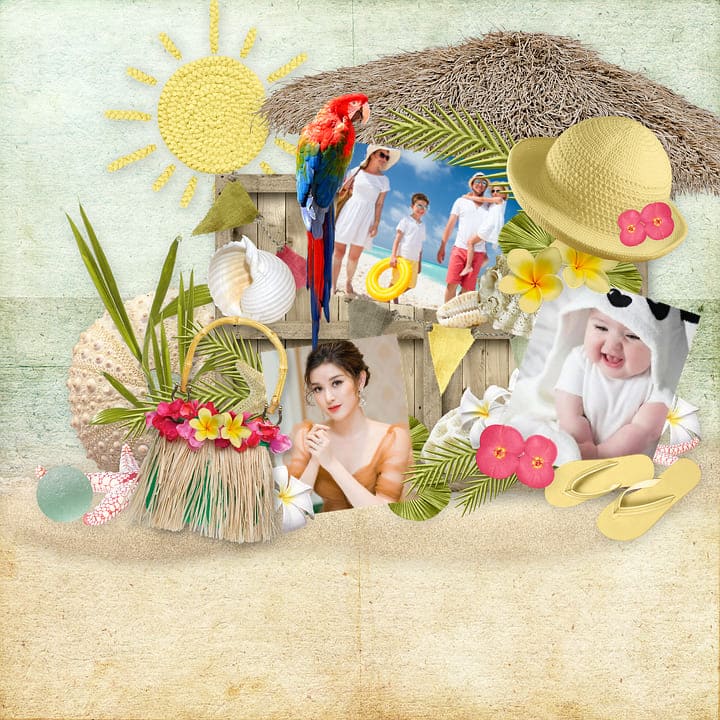 Khung ảnh chim vẹt và biển cả