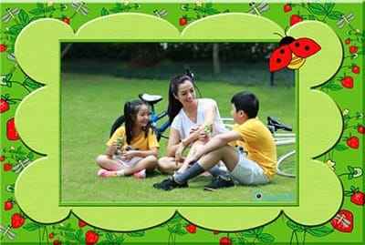 Ghép khung ảnh côn trùng và dâu tây