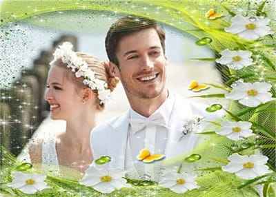 Khung ảnh những bông hoa trắng tinh khiết kết hợp với những chú bướm xinh