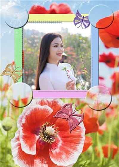 Ghép khung ảnh bướm hoa đồng nội