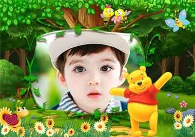 Chú gấu trong khu rừng cổ tích