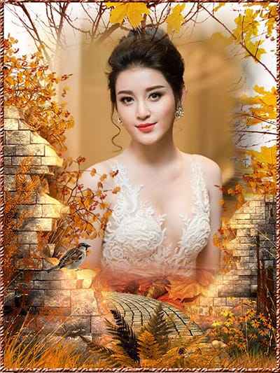 Rừng cổ tích với sắc vàng ngập tràn vui tươi