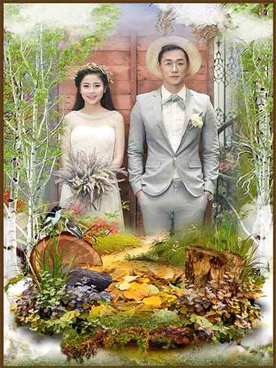 Khung ảnh rừng cây thiên nhiên hoang dã đẹp mắt