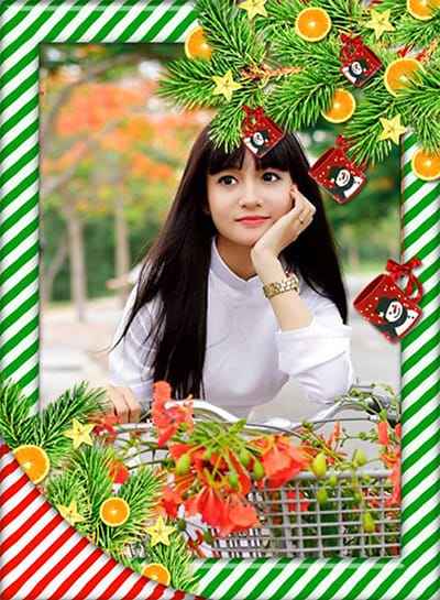 Tạo ảnh online trang trí những đường kẻ sọc và cành thông noel đẹp mắt