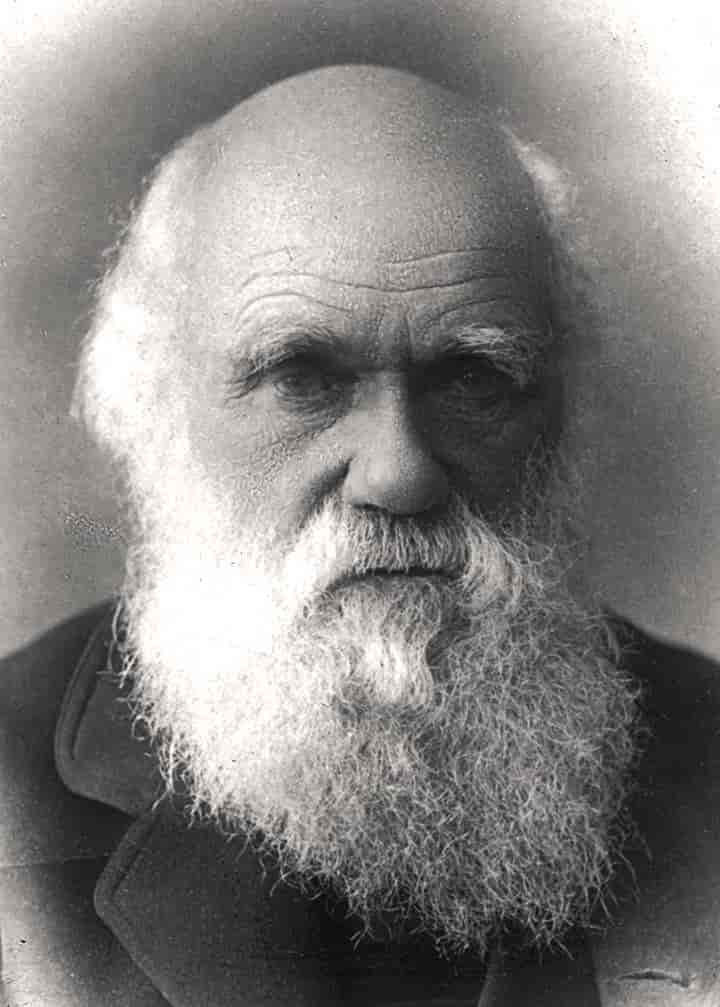 Xem hình ảnh nhà khoa học Charles Robert Darwin (February 12, 1809 - April 19, 1882)