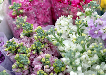 Hình ảnh tuyệt đẹp về những bó hoa phi Yến