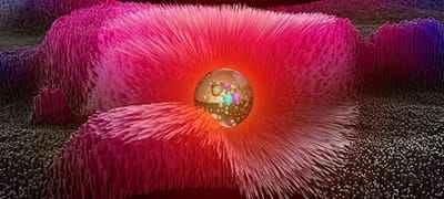 Xem hình ảnh quả cầu thủy tinh và hiệu ứng đẹp mắt