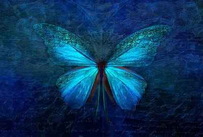 Xem hình ảnh đẹp phác họa chú bướm xanh