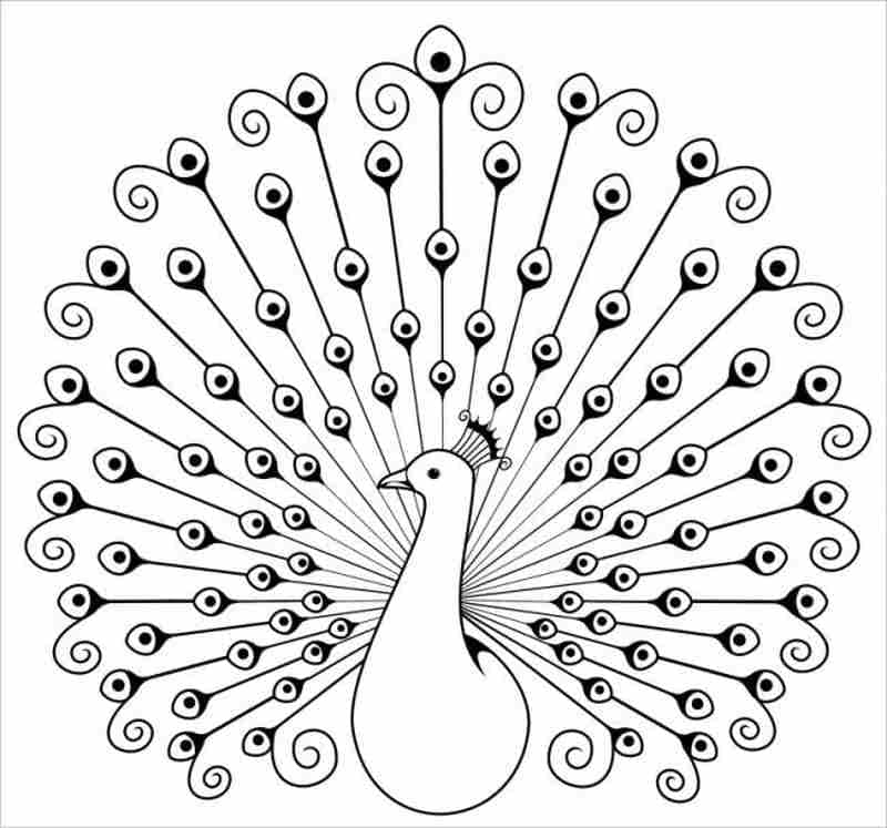 Tranh tô màu con chim công