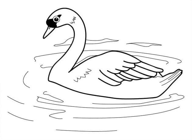 Tranh tô màu chú chim thiên nga bơi trong hồ nước