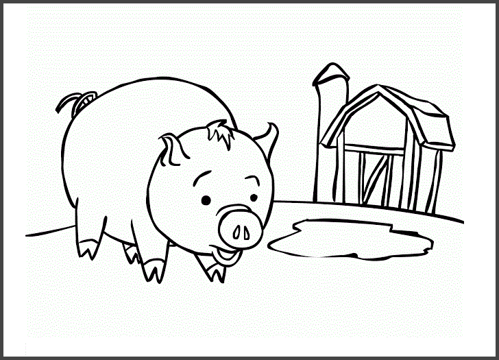Tranh tô màu với chú heo đáng yêu