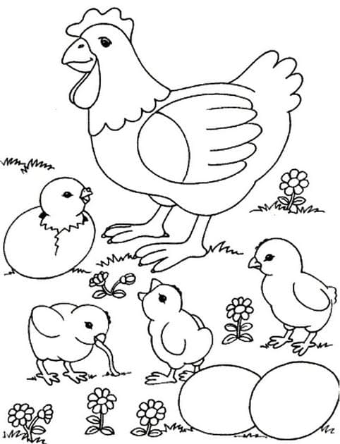 Tranh tô màu đàn gà đang kiếm ăn