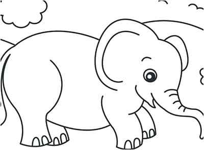 Tranh tô màu chú voi con mũm mĩm