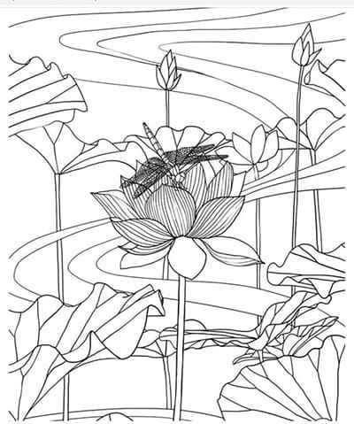 Tranh tô màu hoa sen trong hồ