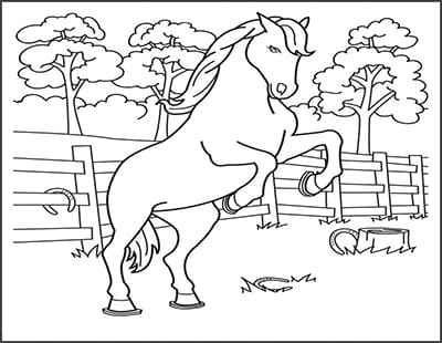 Tranh tô màu chú ngựa ô và khung cảnh đẹp
