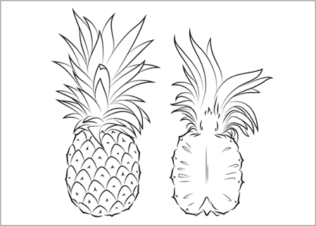 Tranh tô màu trái dứa và hình dạng bên trong trái dứa