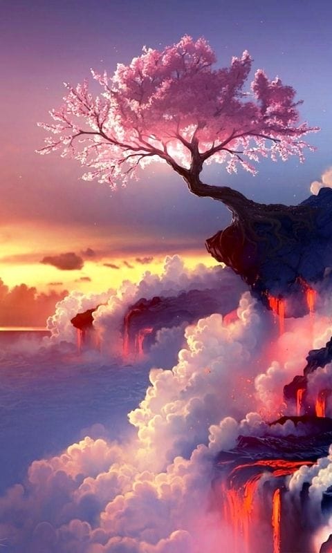 Hình nền điện thoại với dáng cây tuyệt đẹp ngoài tự nhiên
