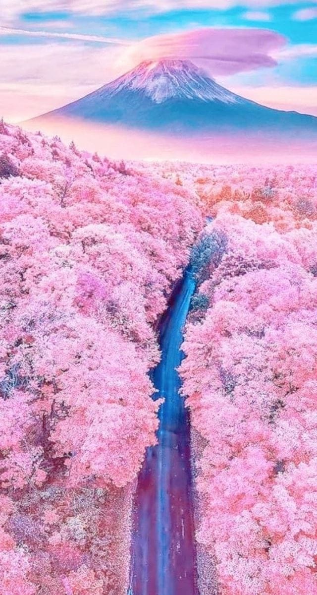 Hình nền điện thoại rừng cây màu hồng và núi nôn đẹp như tiên cảnh