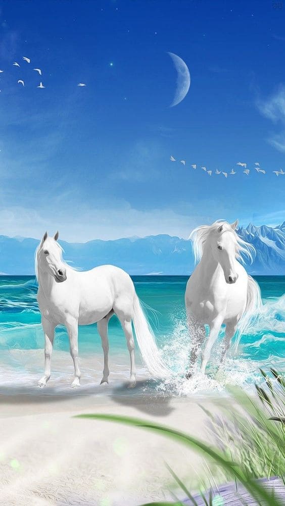 Hình nền điện thoại đôi bạch mã đẹp